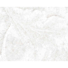 Piastrelle 60x120 Emil Ceramica Tele di Marmo Revolution EHAU | Edilceram Design