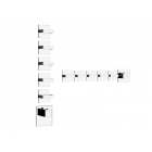 Gessi Rettangolo Wellness 43220 miscelatore termostatico a muro per doccia | Edilceram Design